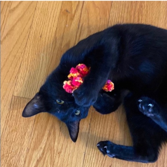 HAND CRAFTED Colorful Yarn Crochet Potent Organic Catnip Lot of 10 Cat Toy Balls - Picture 3 of 8